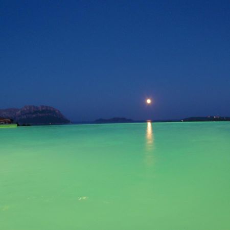 Porto Istana Villa And Pool Tavolara View מראה חיצוני תמונה